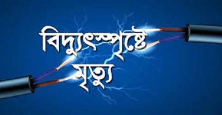 শ্রীপুরে বিদ্যুৎস্পৃষ্টে প্রকৌশলীর মৃত্যু
