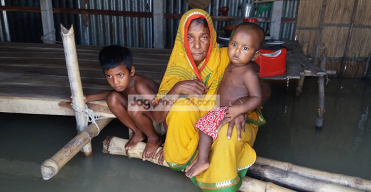 ত্রাণের নৌকা ভেবে বৃদ্ধার হাউমাউ কান্না