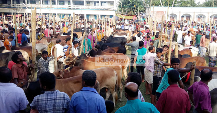 গাইবান্ধায় শেষ মুহূর্তের কেনাকাটায় ব্যস্ত মানুষ
