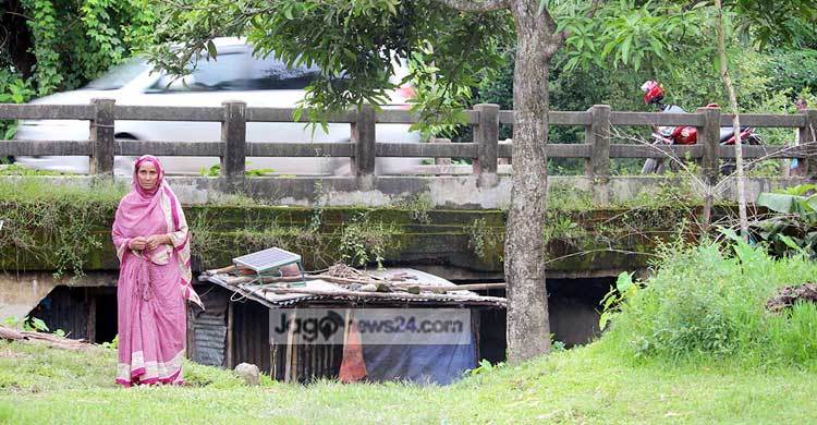 এক যুগ ধরে ব্রিজের নিচে বসবাস নারী ইউপি মেম্বারের