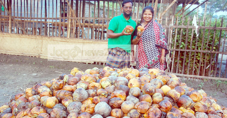 শহীদ স্মরণে লাগানো হবে ৩০ লাখ তাল গাছ