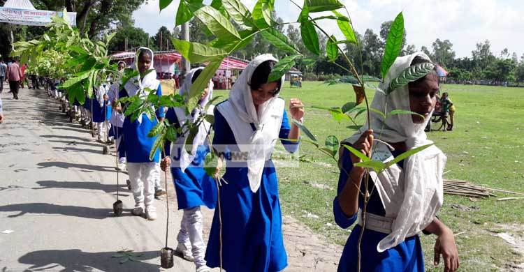 ২ ঘণ্টায় ৭ লাখ চারা রোপন