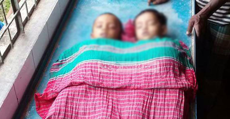 কুষ্টিয়ায় পানিতে ডুবে ভাই-বোনের মৃত্যু