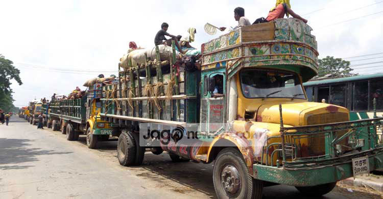 ফেরিঘাটে গরুবোঝাই ট্রাকের দীর্ঘ লাইন