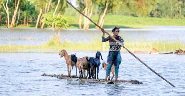 নাটোরে ১০৫ শিক্ষা প্রতিষ্ঠান বন্ধ, ১৩ হাজার হেক্টর জমির ফসল নষ্ট