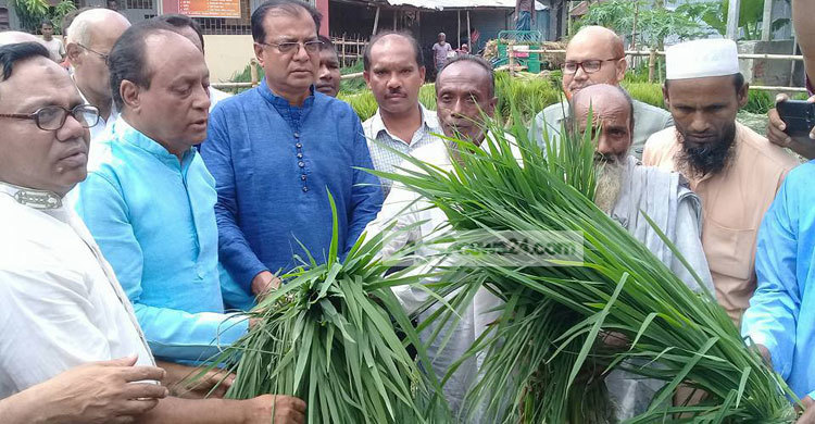 বন্যায় ক্ষতিগ্রস্তদের প্রতি সরকারের নজর নেই : নোমান