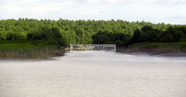 উপকূলে বিষ দিয়ে মাছ শিকার, হুমকির মুখে প্রকৃতি ও পরিবেশ