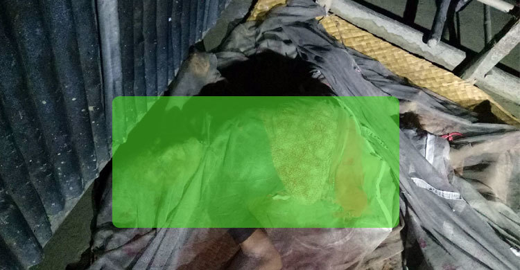 পটুয়াখালীতে মা-মেয়ে-বাবাকে গলা কেটে হত্যা