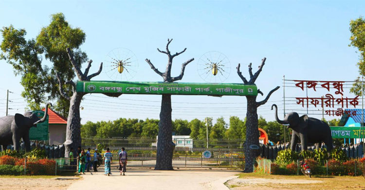 বঙ্গবন্ধু সাফারি পার্কে মোবাইল নিয়ে ভোগান্তি