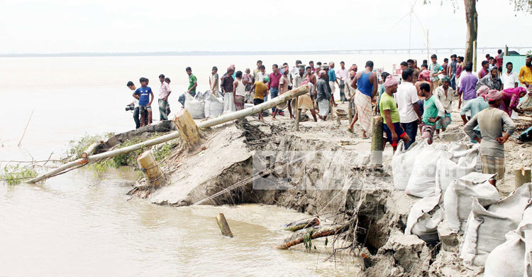 বঙ্গবন্ধু সেতু রক্ষা গাইড বাঁধে ফের ভাঙন