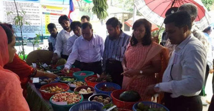 মুন্সীগঞ্জে ফলদ ও বৃক্ষ মেলা