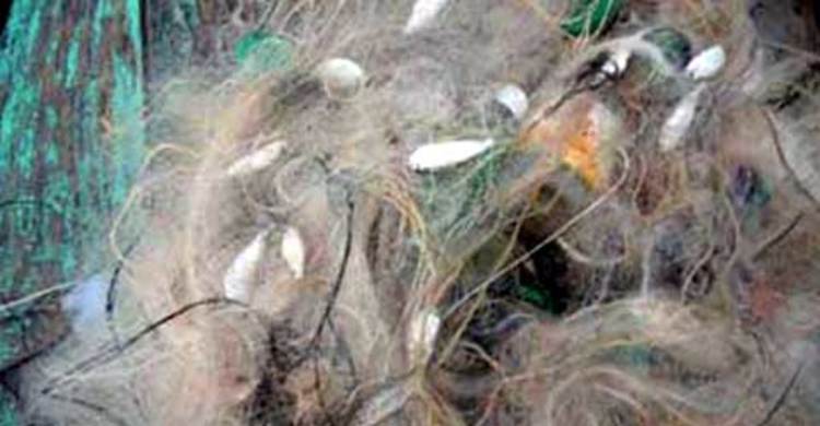 ফতুল্লায় ৮ হাজার কেজি কারেন্ট জাল জব্দ, গ্রেফতার ৪