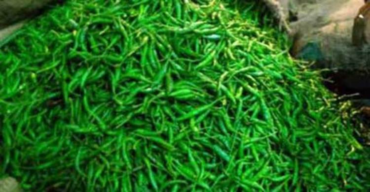 হিলিতে রোজ ২০ মেট্রিক টন কাঁচামরিচ আমদানি