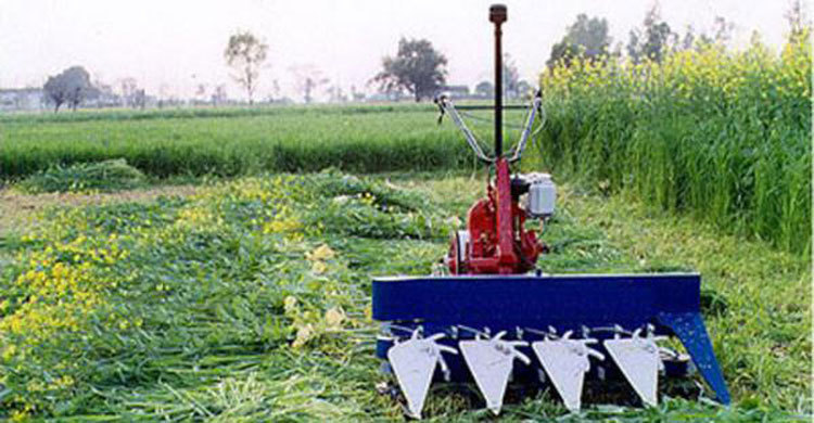 পঞ্চম কৃষি শুমারি, ৩৩৯ কোটি টাকার প্রকল্প প্রস্তাব