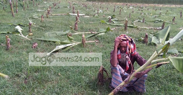 এ কেমন শত্রুতা!