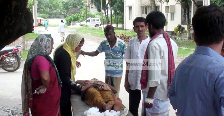 মানিকগঞ্জে কুকুরের কামড়ে আহত অর্ধশতাধিক