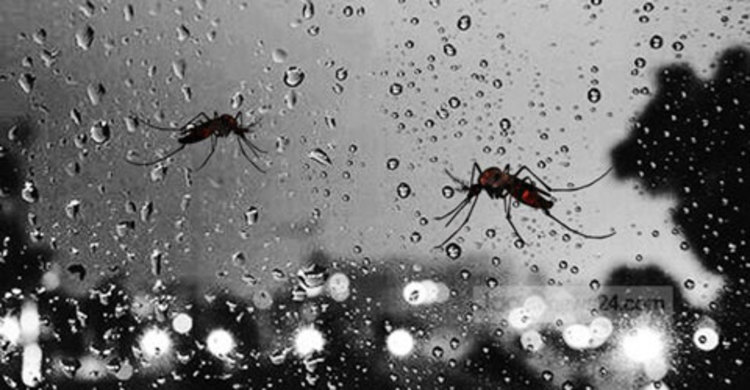 ডেঙ্গু জ্বরে জাজিরায় যুবকের মৃত্যু