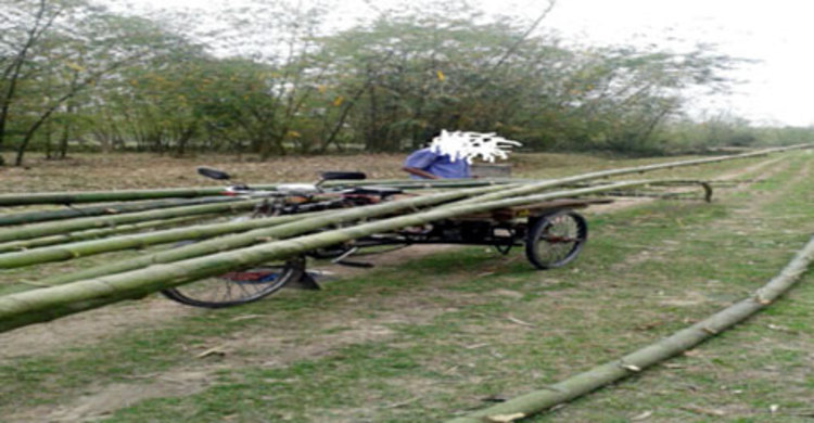 বন বিভাগের ৪ কোটি টাকা আত্মসাতের অভিযোগ