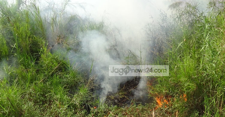 সুন্দরবনে আবারও আগুন, পুড়ে গেছে ৫ একর বনভূমি