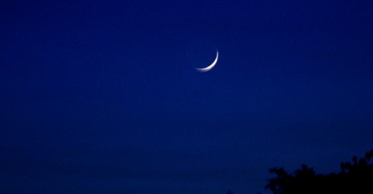 এই চাঁদ এনে দিল খুশির বন্যা