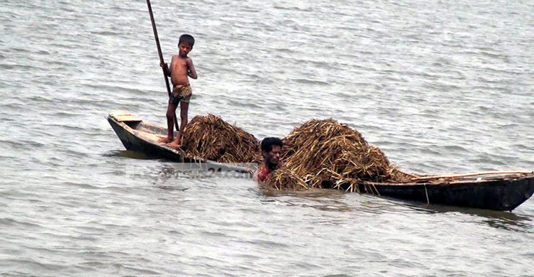 কর্মহীন হাওরবাসীর বেঁচে থাকার সংগ্রাম