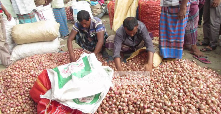 ঝিনাইদহে পেঁয়াজের ন্যায্যমূল্যের দাবি কৃষকের