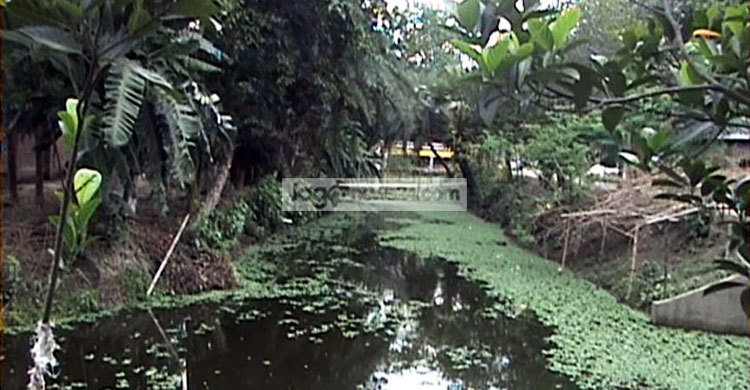 মেহেরপুরে খাল খননে অনিয়মের অভিযোগ