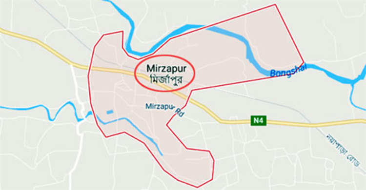 মির্জাপুরে সড়ক দুর্ঘটনায় নিহত ১