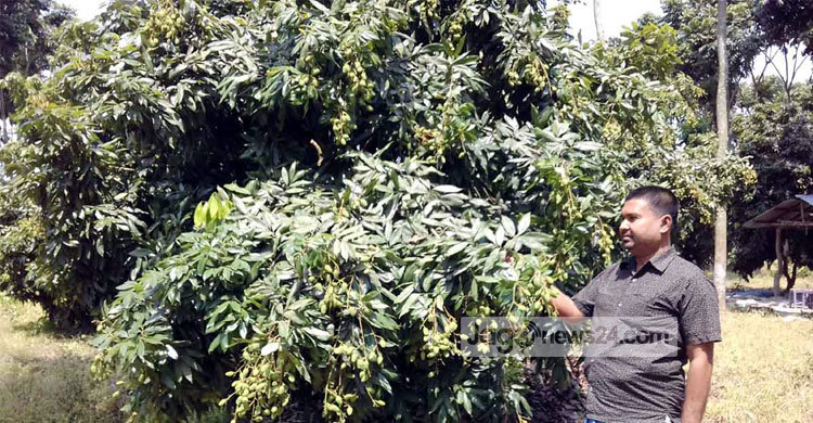 সমন্বিত বাগানে সফল বাবন হাজী