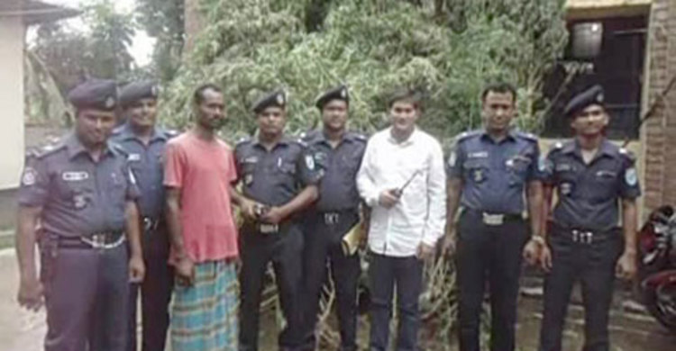 পাংশায় ৩০০ কেজি গাঁজাসহ আটক ১