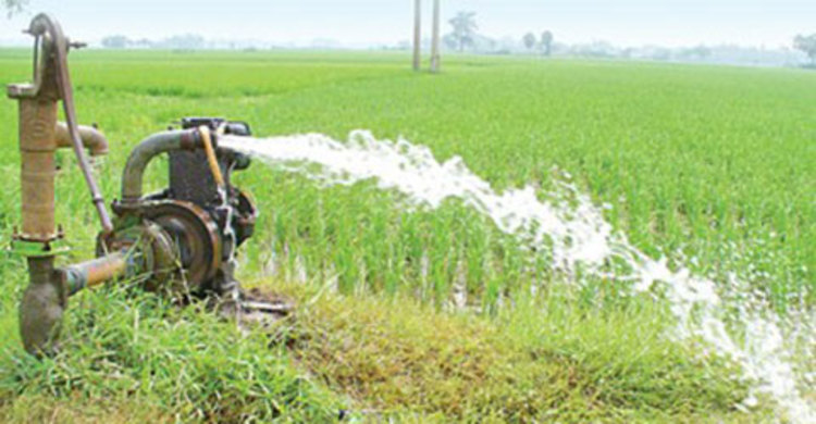 বরেন্দ্রে ৪৮০ গভীর নলকূপের বিদ্যুৎ বিচ্ছিন্ন, হুমকিতে চাষাবাদ