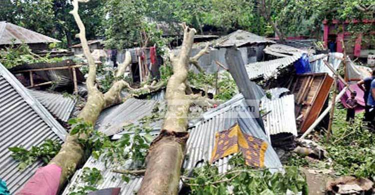 ৩০ সেকেন্ডের টর্নেডোতে শতাধিক বাড়িঘর বিধ্বস্ত