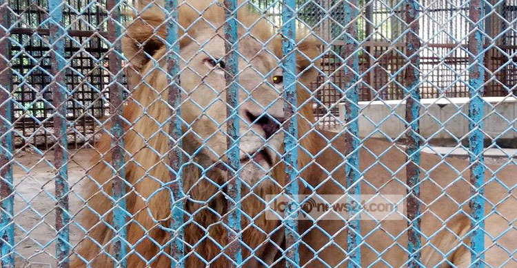 ঈদে চিড়িয়াখানায় বাড়তি আয়োজন