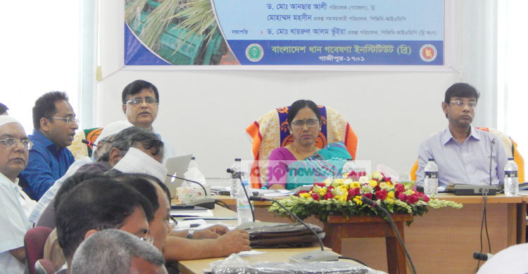 ব্রি প্রযুক্তি ব্যবহারে তিন জেলায় বেড়েছে ধানের উৎপাদন