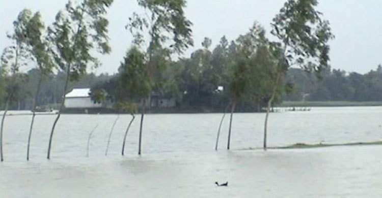 টাঙ্গাইলের নলীন পয়েন্টে বিপদসীমার উপর যমুনার পানি