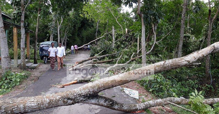 নেত্রকোনায় ঘূর্ণিঝড়ে নিহত ১, বাড়িঘর বিধ্বস্ত