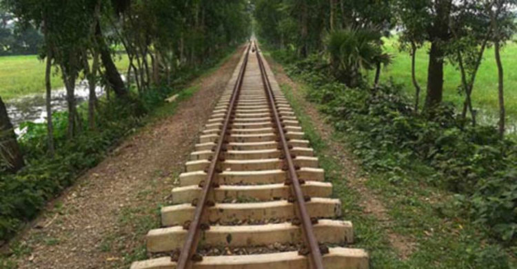 শ্রীপুরে ট্রেনে কাটা পড়ে অজ্ঞাত ব্যক্তি নিহত