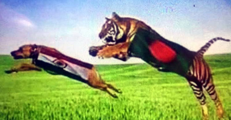 মাঠের বাইরেও বাংলাদেশ-ভারত যুদ্ধ