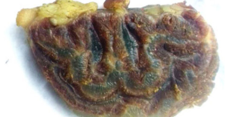 সিরাজগঞ্জে গরুর মাংসের টুকরায় ‘আল্লাহ’ লেখা