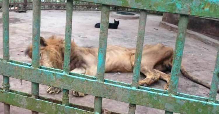 নানা ঘটনা-দুর্ঘটনায় আলোচিত ছিল কুমিল্লা