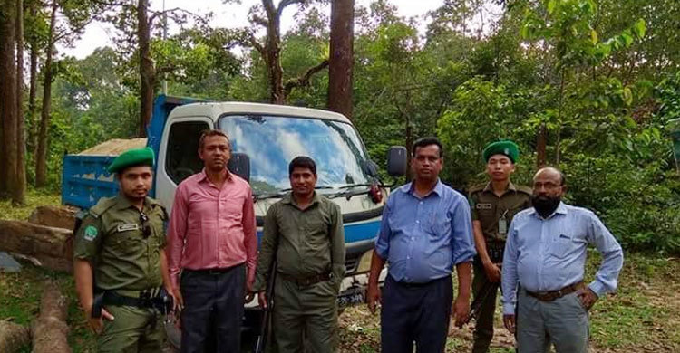 পাহাড় রক্ষায় কক্সবাজারে নেমেছে টাস্কফোর্স