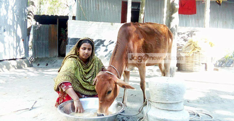 মোবাইল হাতে পেয়েই জ্বলে উঠেন রোজিনা