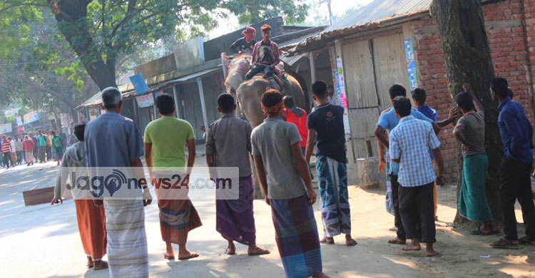 Dinajpur-Birganj-(1)