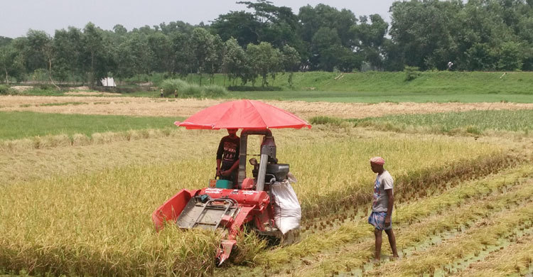 কম্বাইন হারভেস্টারে স্বাবলম্বী হচ্ছেন কৃষক