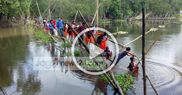 স্কুলযাত্রায় এমন সাঁকো!