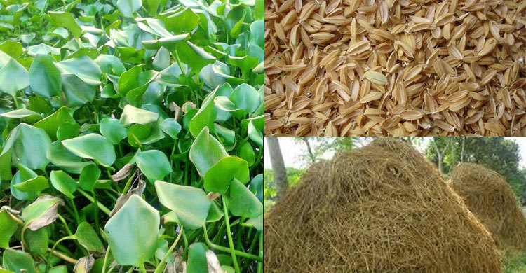 দেশে তুষ-খড়-কচুরিপানায় হবে জৈব জ্বালানি