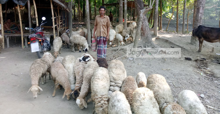 ঝিনাইদহের আলীর ভাগ্য বদলের গল্প