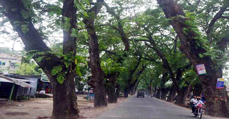 ২৫শ’ গাছ ও বিদ্যুতের ২ হাজার খুঁটি সরাতে চিঠি