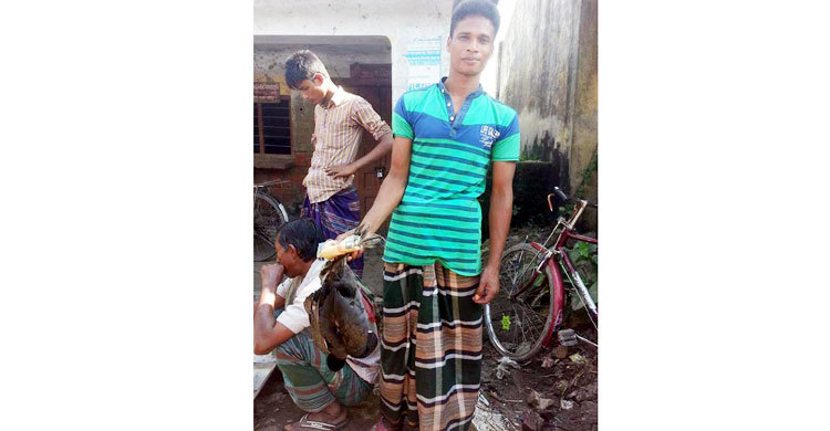 বাজারে বিক্রি হচ্ছে অতিথি পাখি!