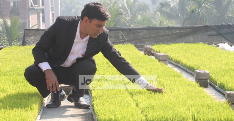 ছাদের ওপর বীজতলা